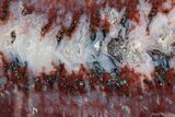 Polished Sicat Plume Agate Slab - Cady Mountains, California #302894-1